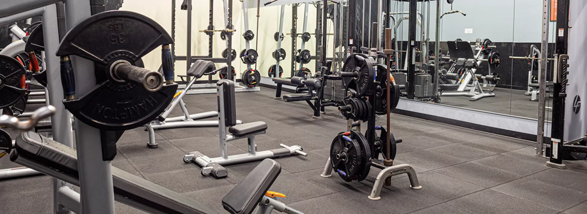 ven gym