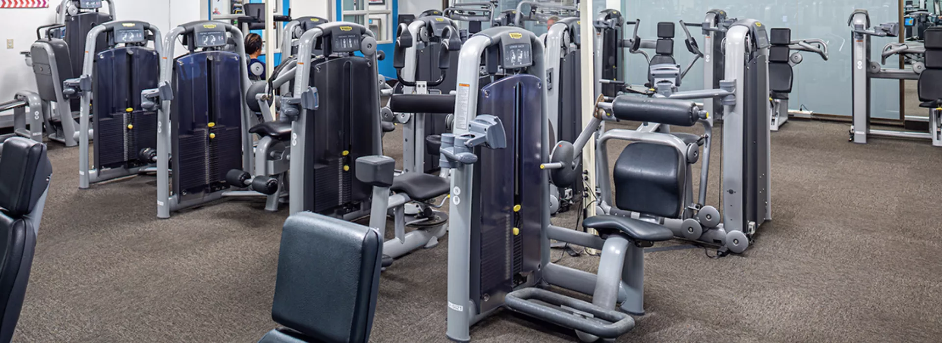 ven gym