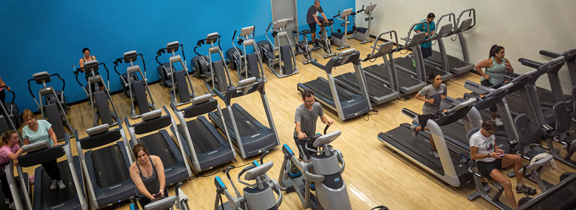ven gym