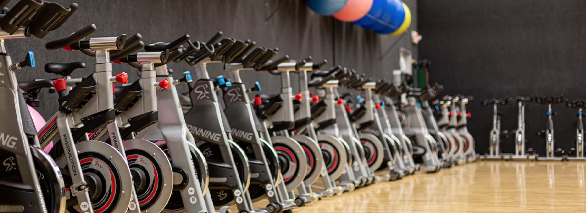 ven gym
